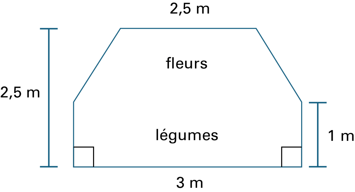 Un hexagone à base rectangulaire, les angles de la base sont perpendiculaires.